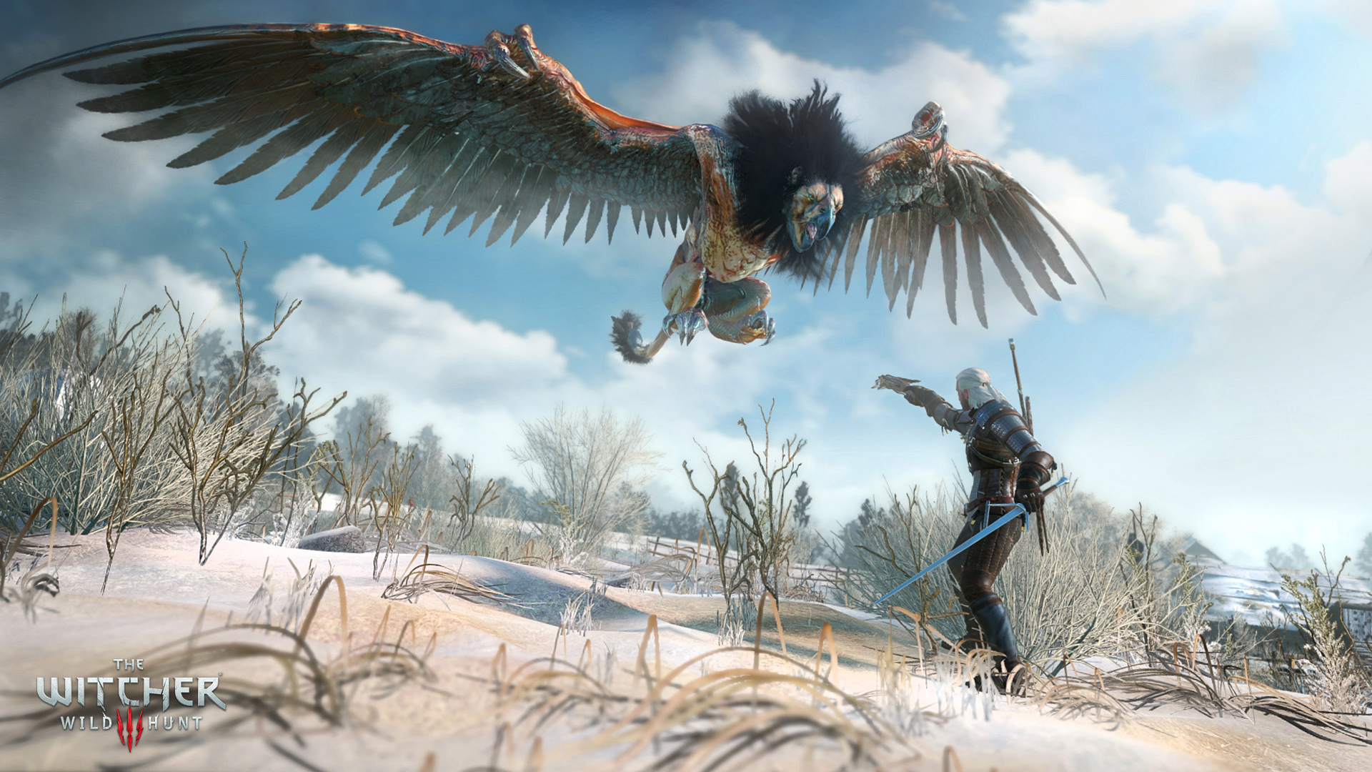 Patch al day one per The Witcher 3: Wild Hunt
