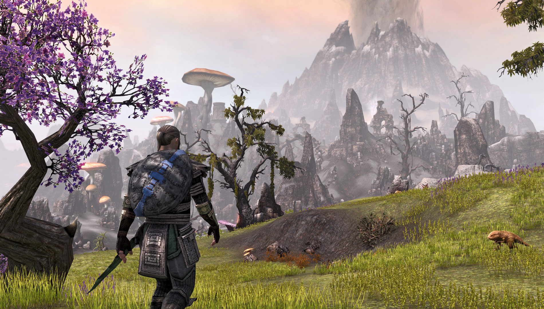 Una patch per The Elder Scrolls Online aggiunge l’HDR su Xbox One