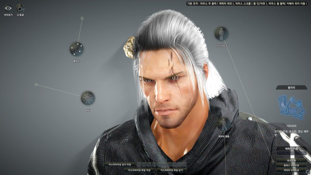 Black Desert Online classe