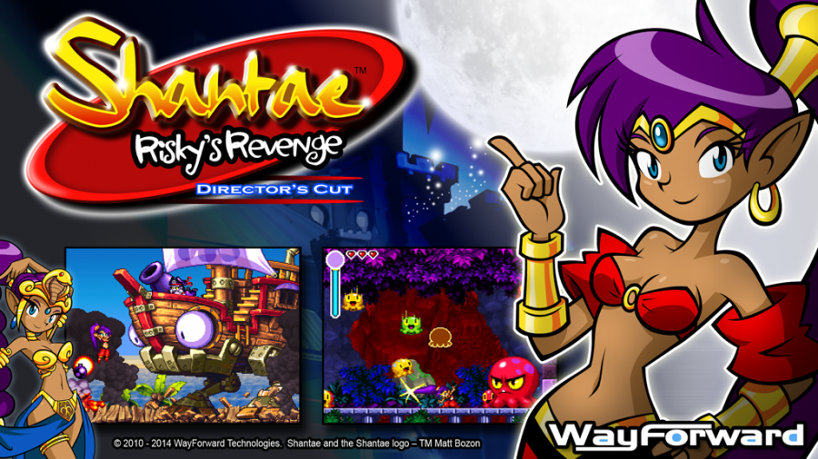 Shantae Risky's Revenge Director's Cut - Recensione