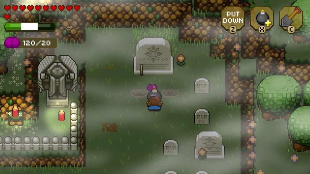 Blossom Tales The Sleeping King