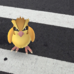 Pokémon GO, come salire di livello velocemente