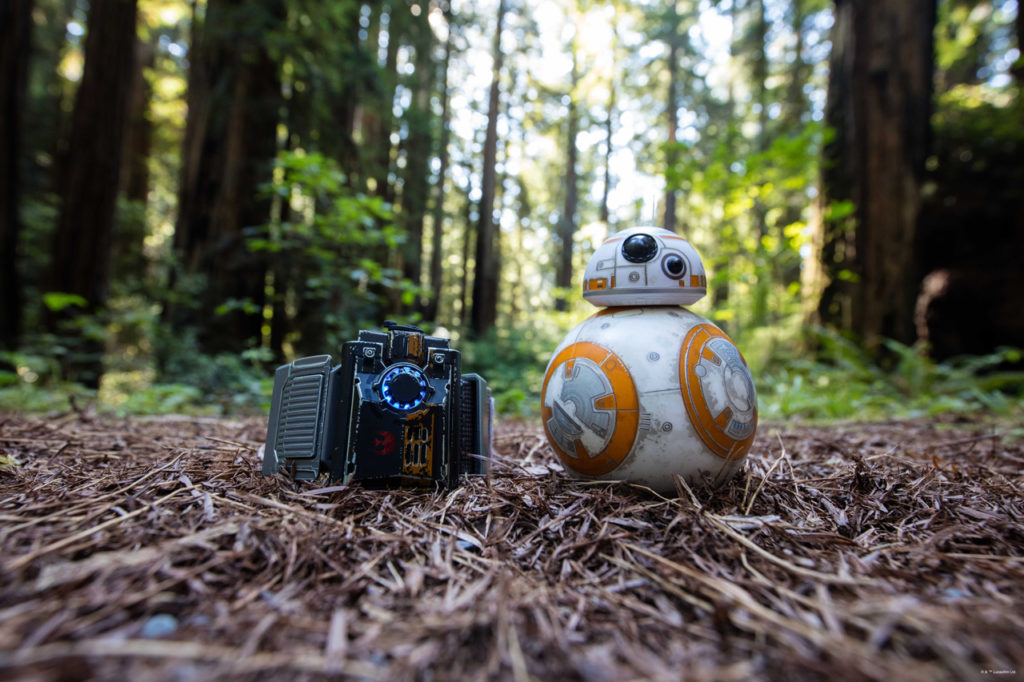 BB-8 Foresta