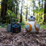 BB-8 Foresta