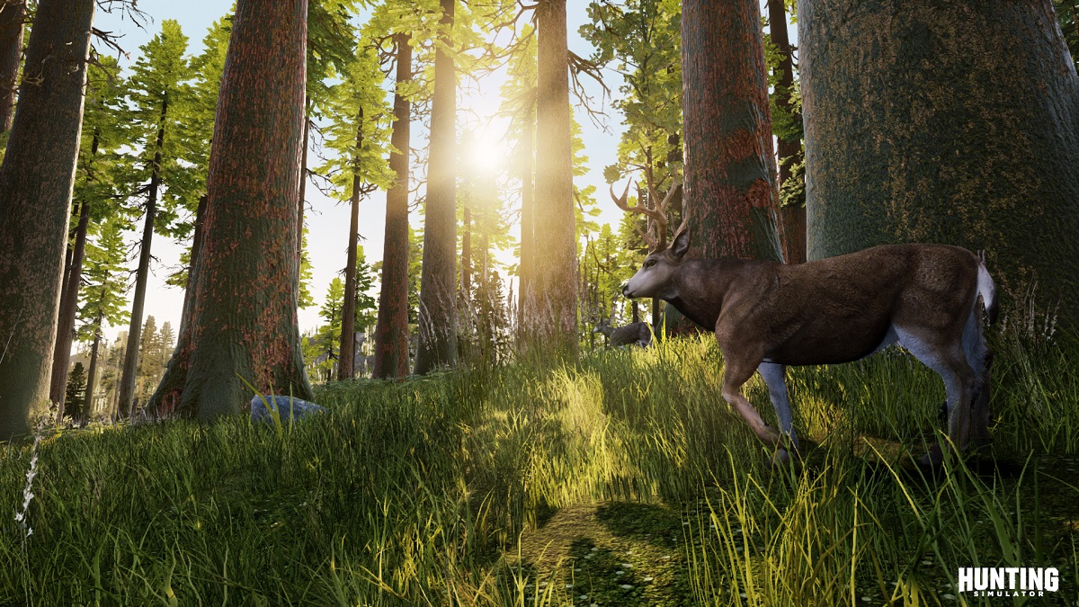 Bigben annuncia il suo simulatore di caccia per next-gen: Hunting Simulator