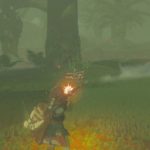 Come mandare avanti il tempo in The Legend of Zelda: Breath of the Wild