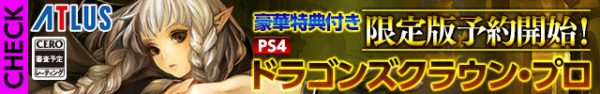 Dragon’s Crown PS4 banner leak