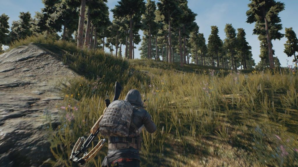 playerunknown's battlegrounds