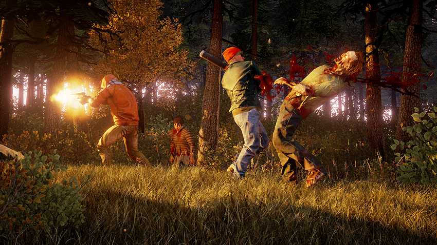 State of Decay 2 cooperativa