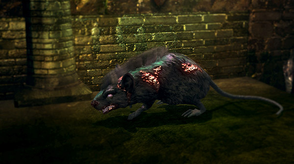 Dark Souls farmare umanità