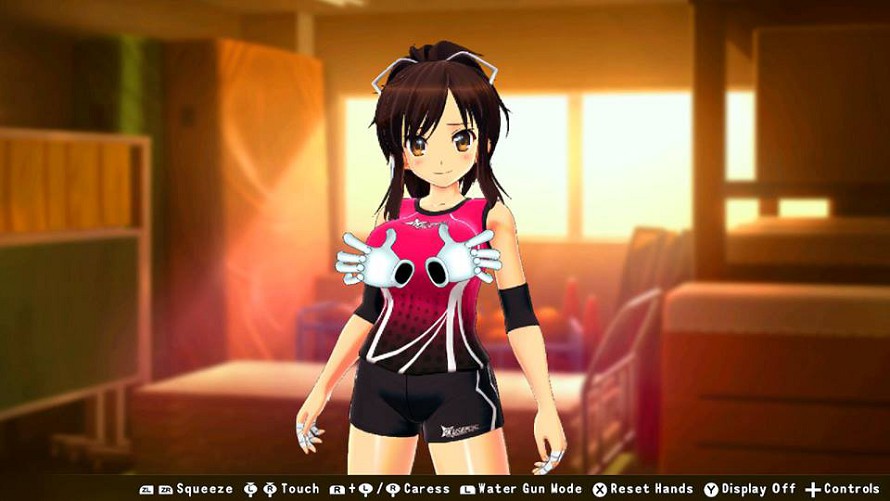 Senran Kagura Reflexions