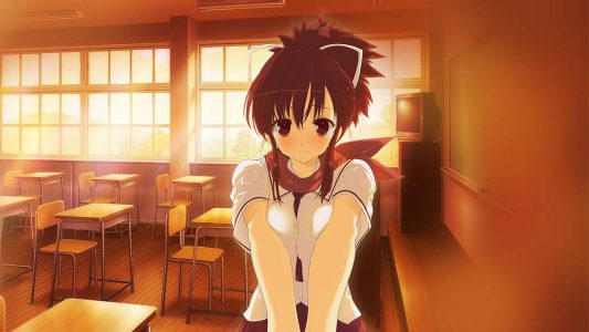 Shinobi Refle: Senran Kagura