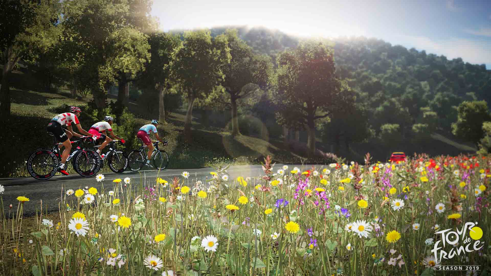 Le Tour De France Pro Cycling Manager 2019