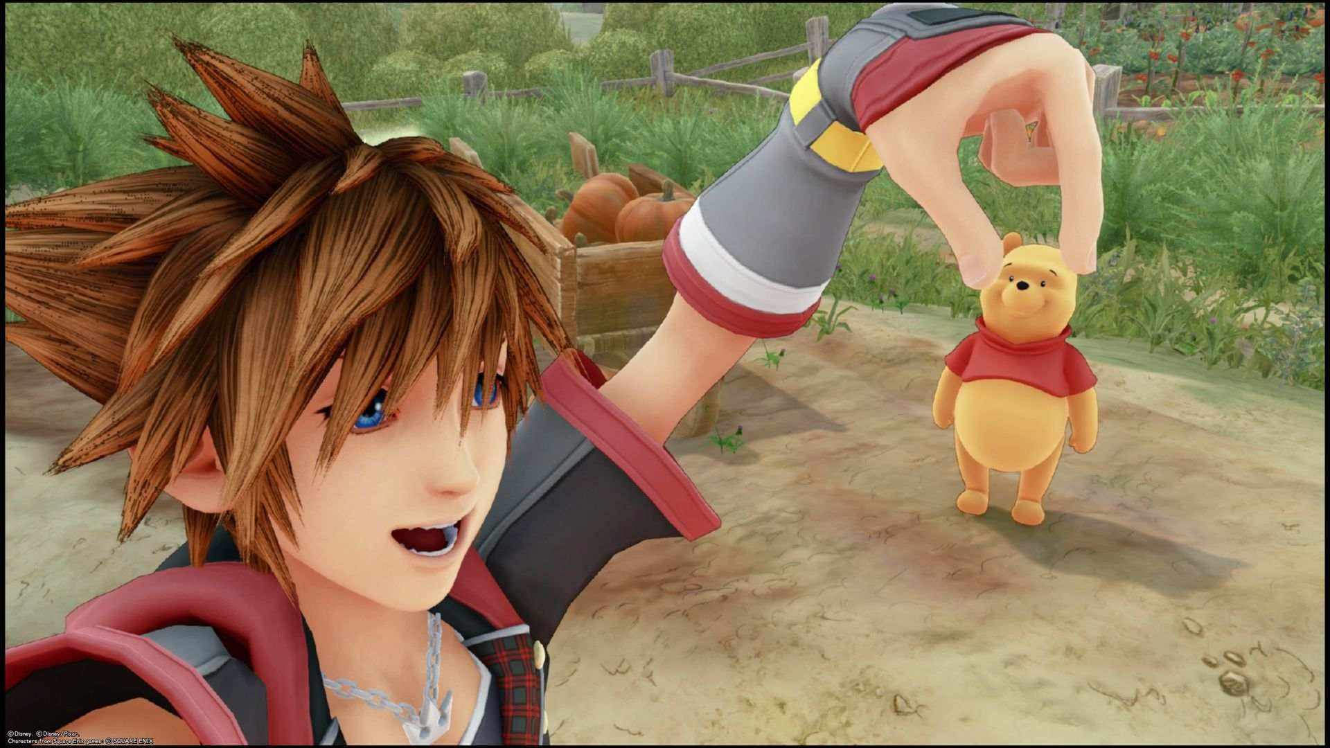 Kingdom Hearts Winnie Pooh