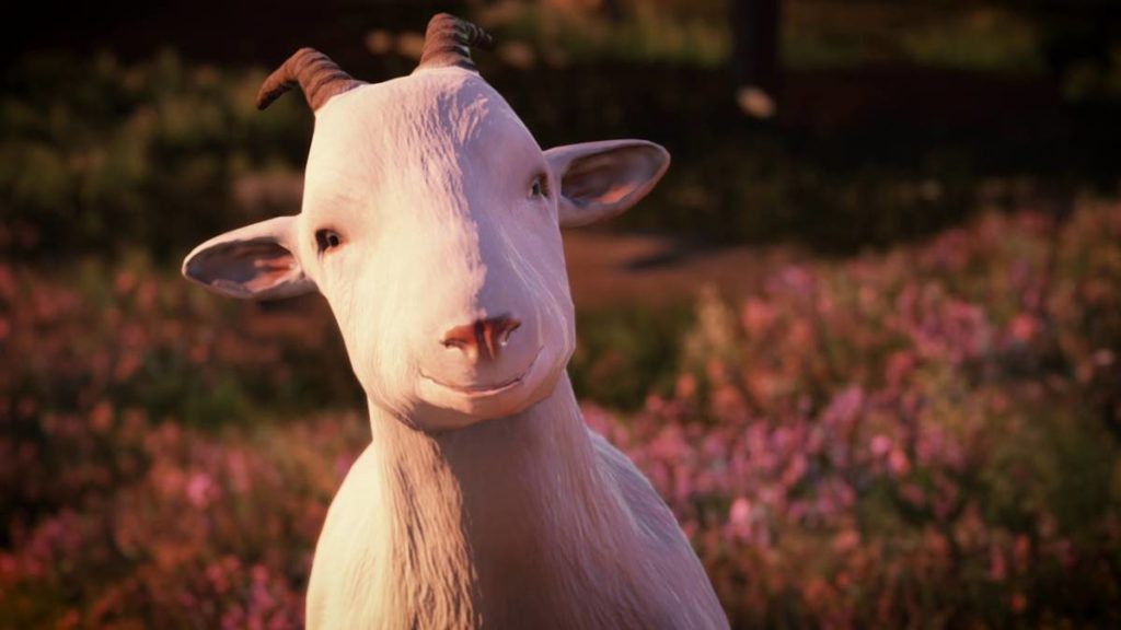 Goat of Duty