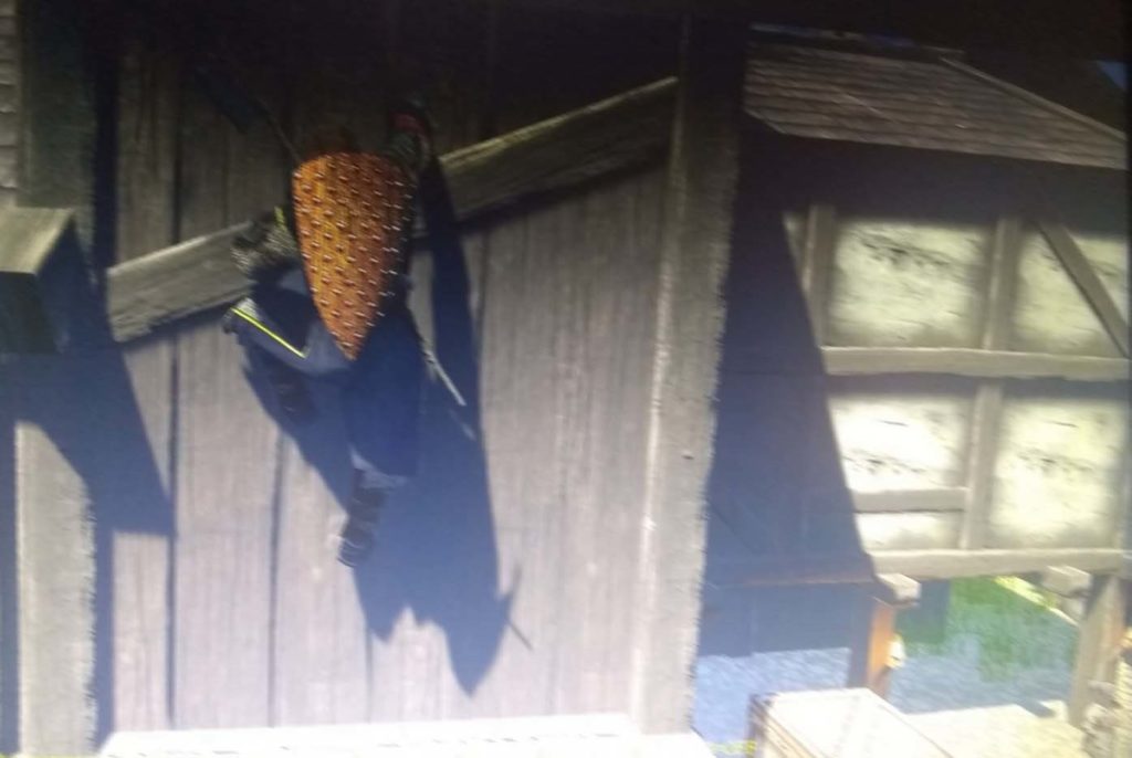 Assassin's Creed Ragnarok