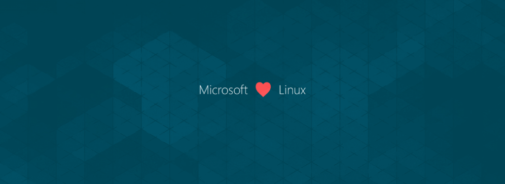 Microsoft: nuovi sviluppi per l’integrazione Linux - immagine dell'articolo