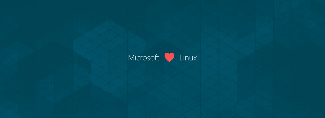 Microsoft: nuovi sviluppi per l’integrazione Linux