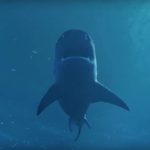 Maneater: nuovo trailer al PC Gaming Show
