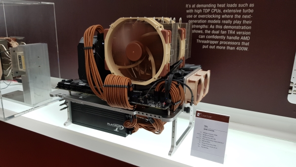 Noctua