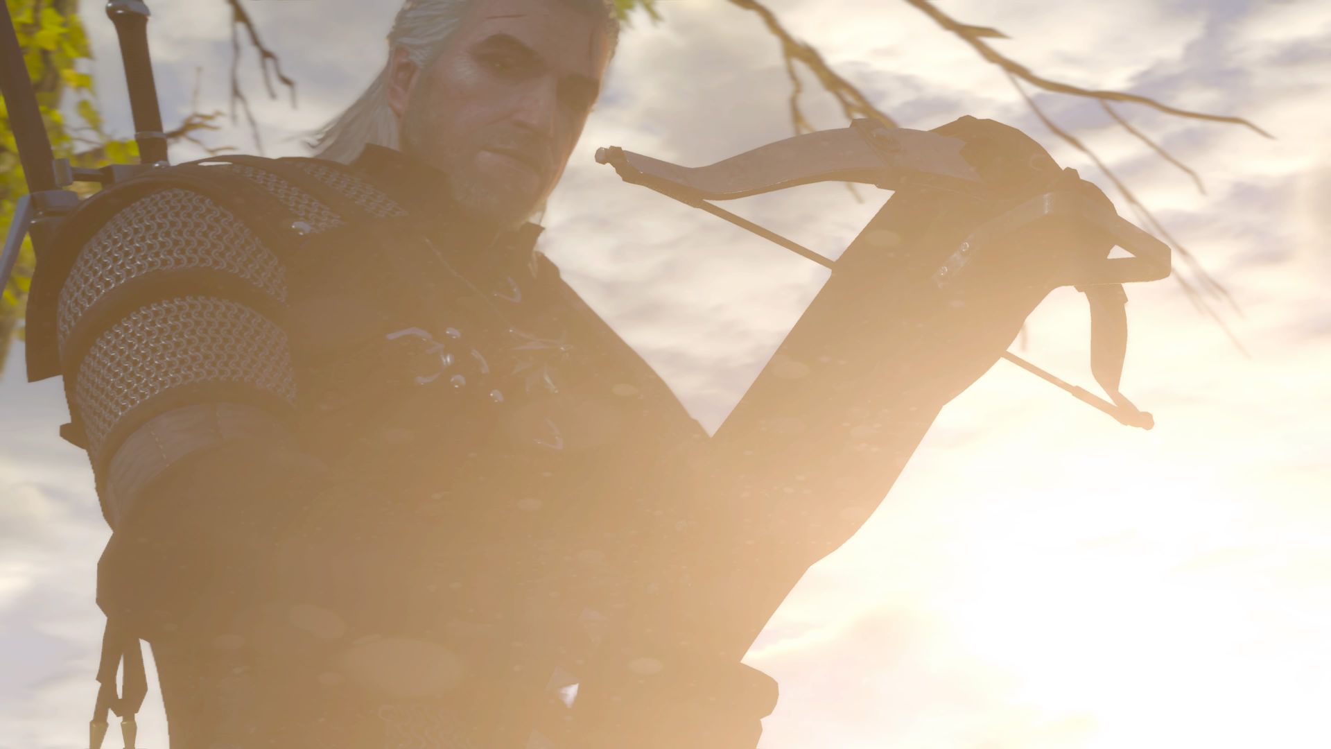 Grifone Witcher 3 balestra