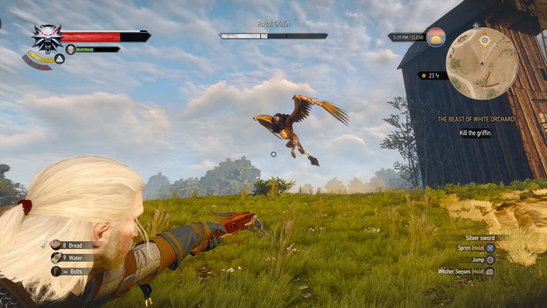 Witcher 3 Grifone in volo
