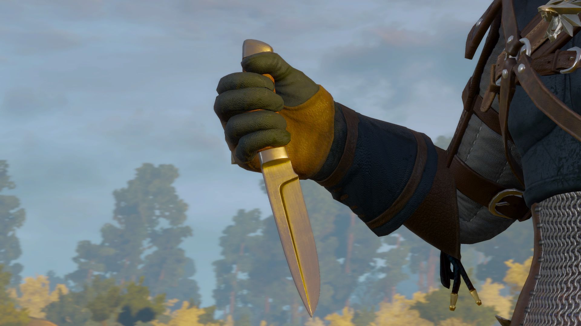 Uccidere Grifone Witcher 3