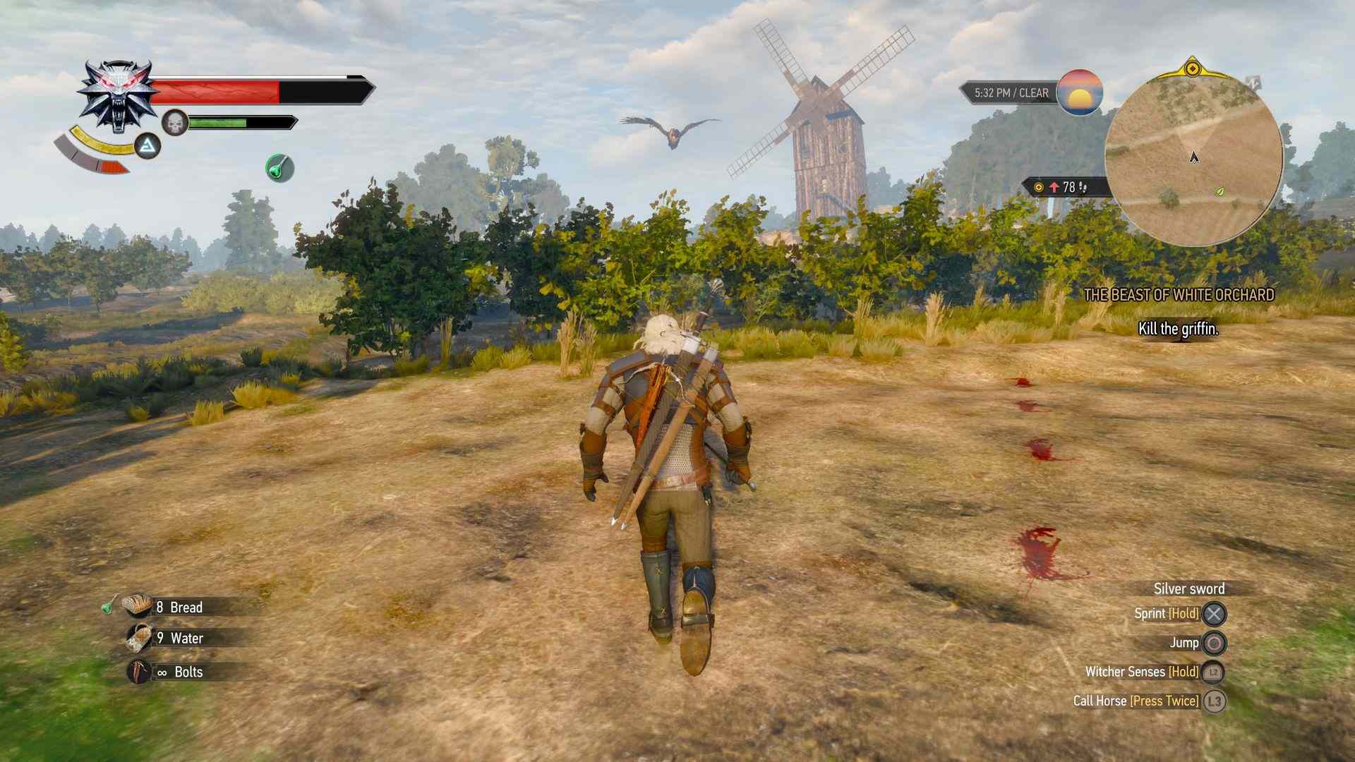 Inseguimento Grifone Witcher 3