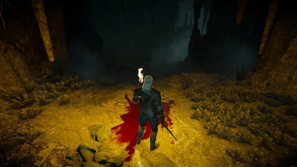 Le Signore Del Bosco The Witcher 3