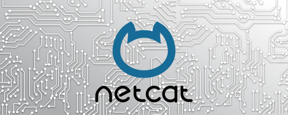 Netcat security vulnerability colpisce Intel Xeon