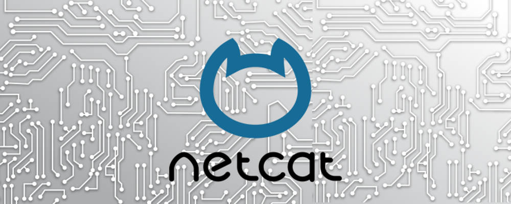 Netcat security vulnerability