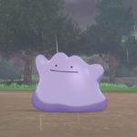 Pokémon Spada e Scudo – Come catturare Ditto