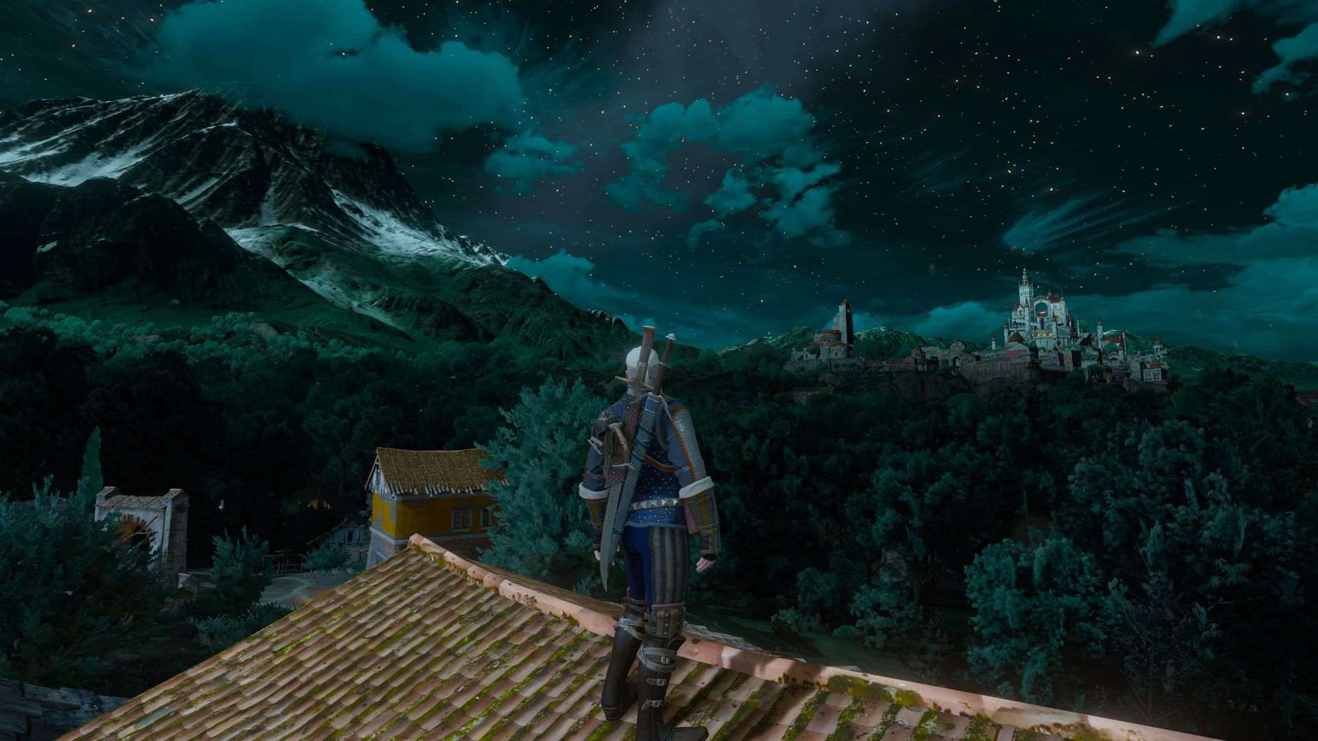 witcher 3 povertà