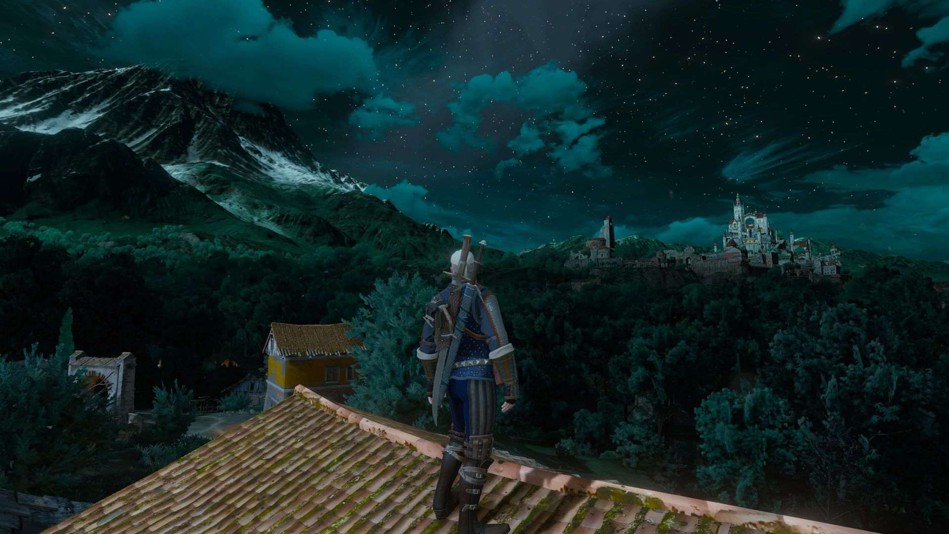 witcher 3 povertà