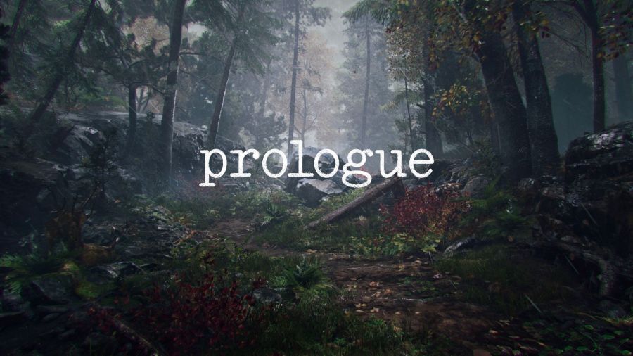 Prologue non sarà PUBG 2