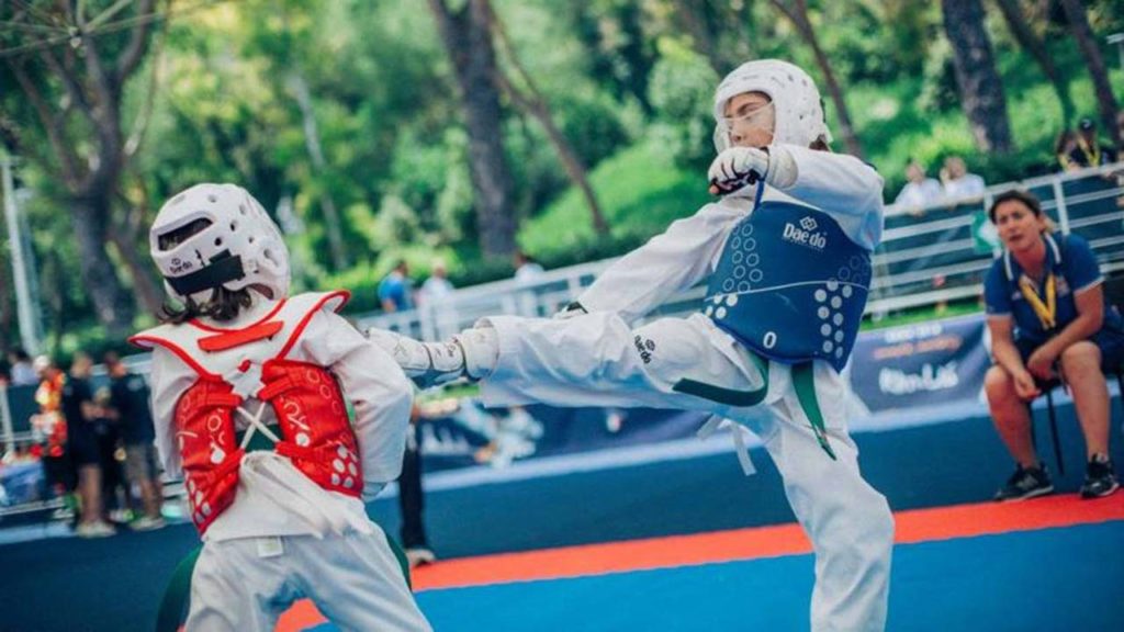 taekwonfight
