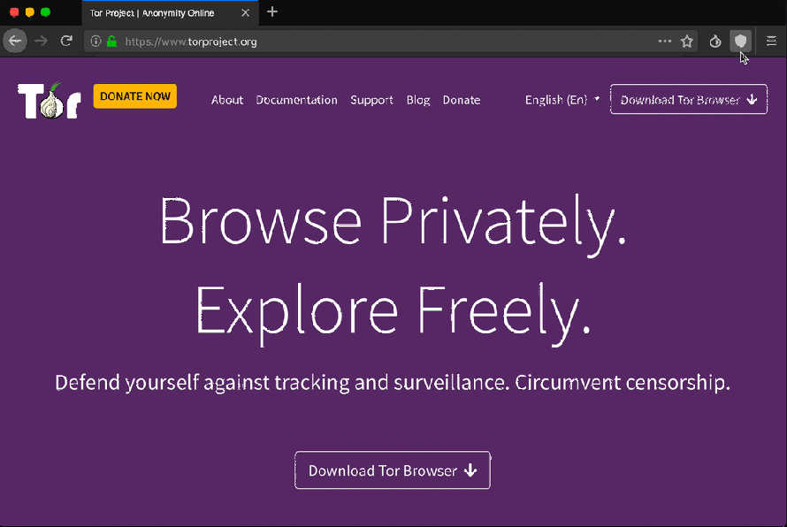 Tor browser