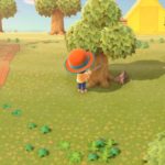 Animal Crossing: New Horizons – Oggetti rinforzati