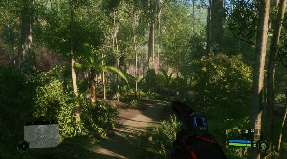 Crysis remastered switch