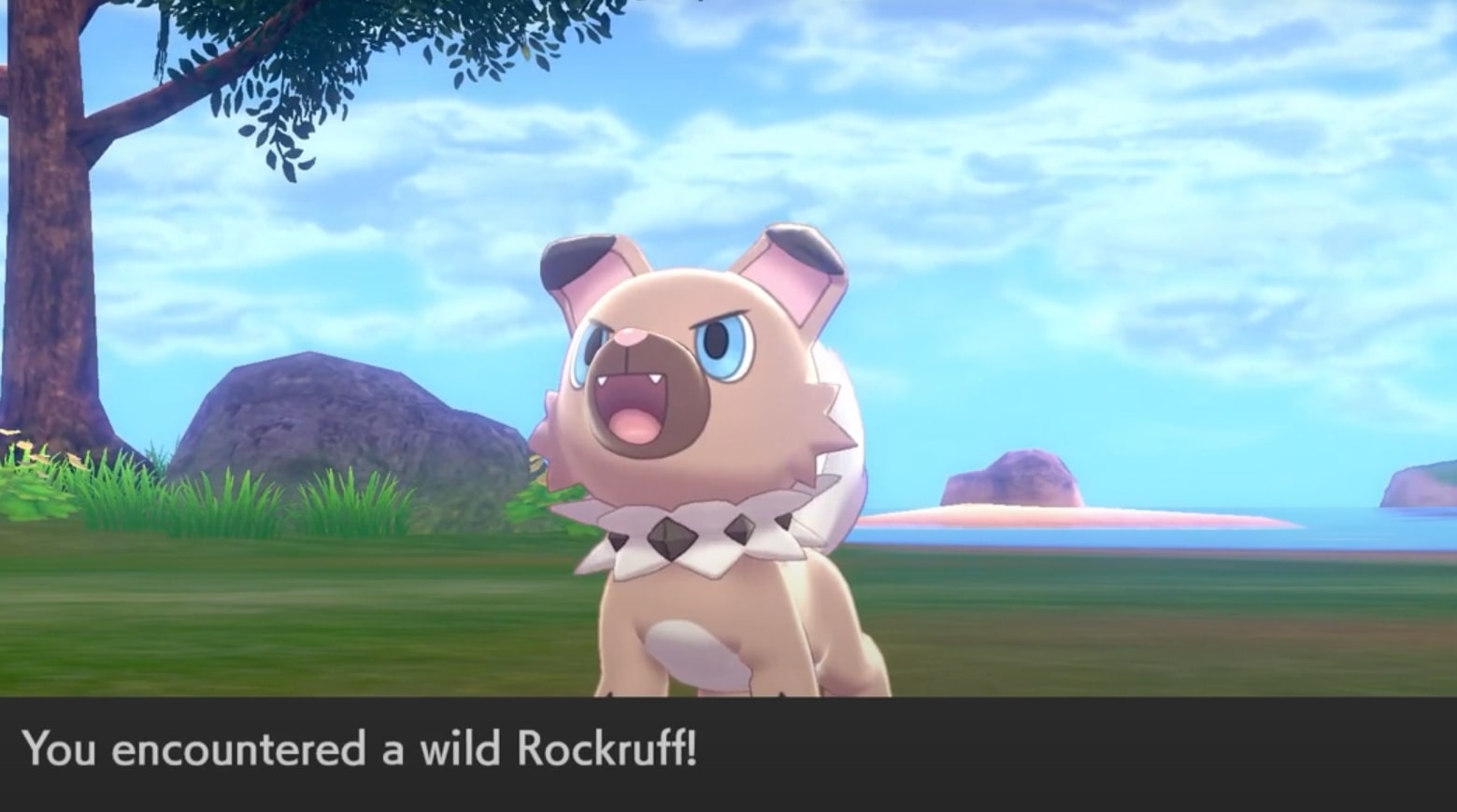 Pokémon Spada e Scudo – Come fare evolvere Rockruff