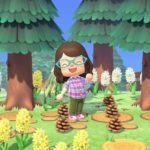 Animal Crossing: New Horizons – Guida alle pigne