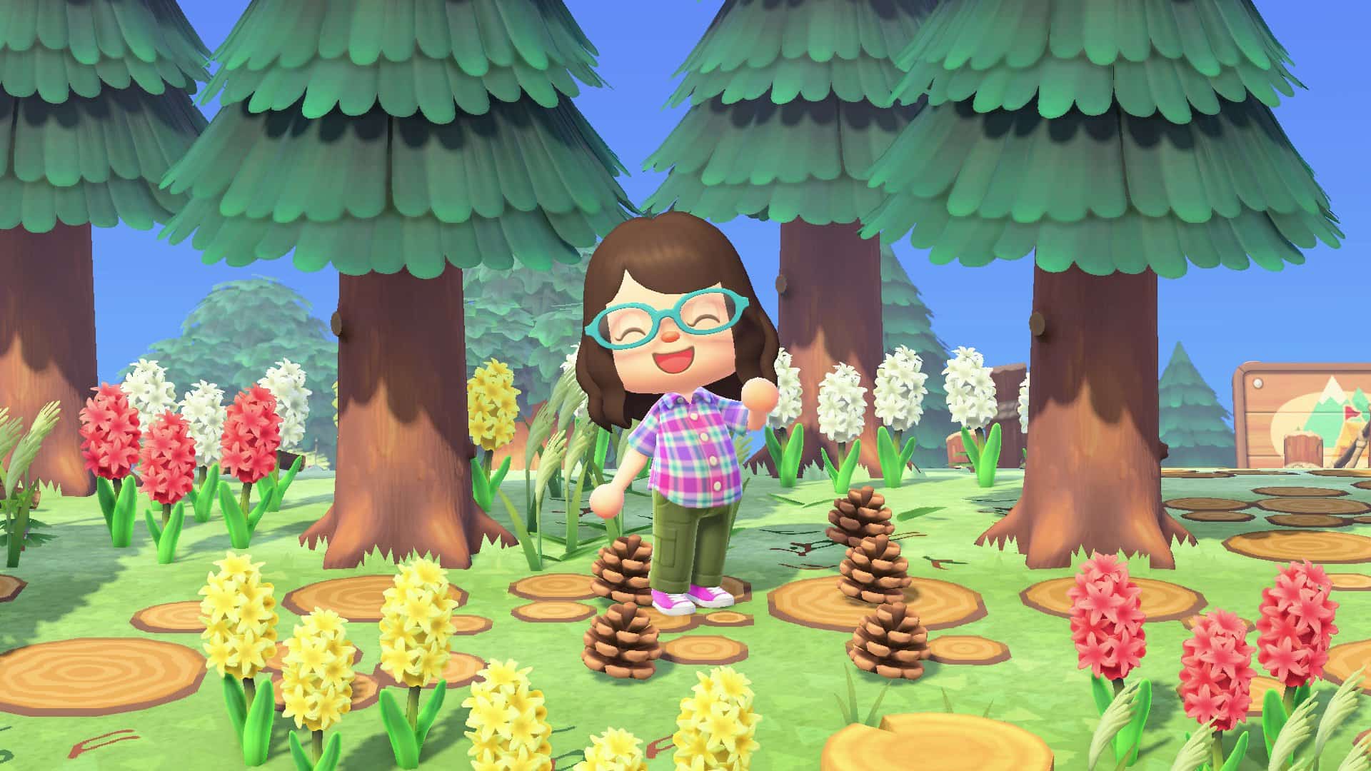 Animal Crossing: New Horizons – Guida alle pigne