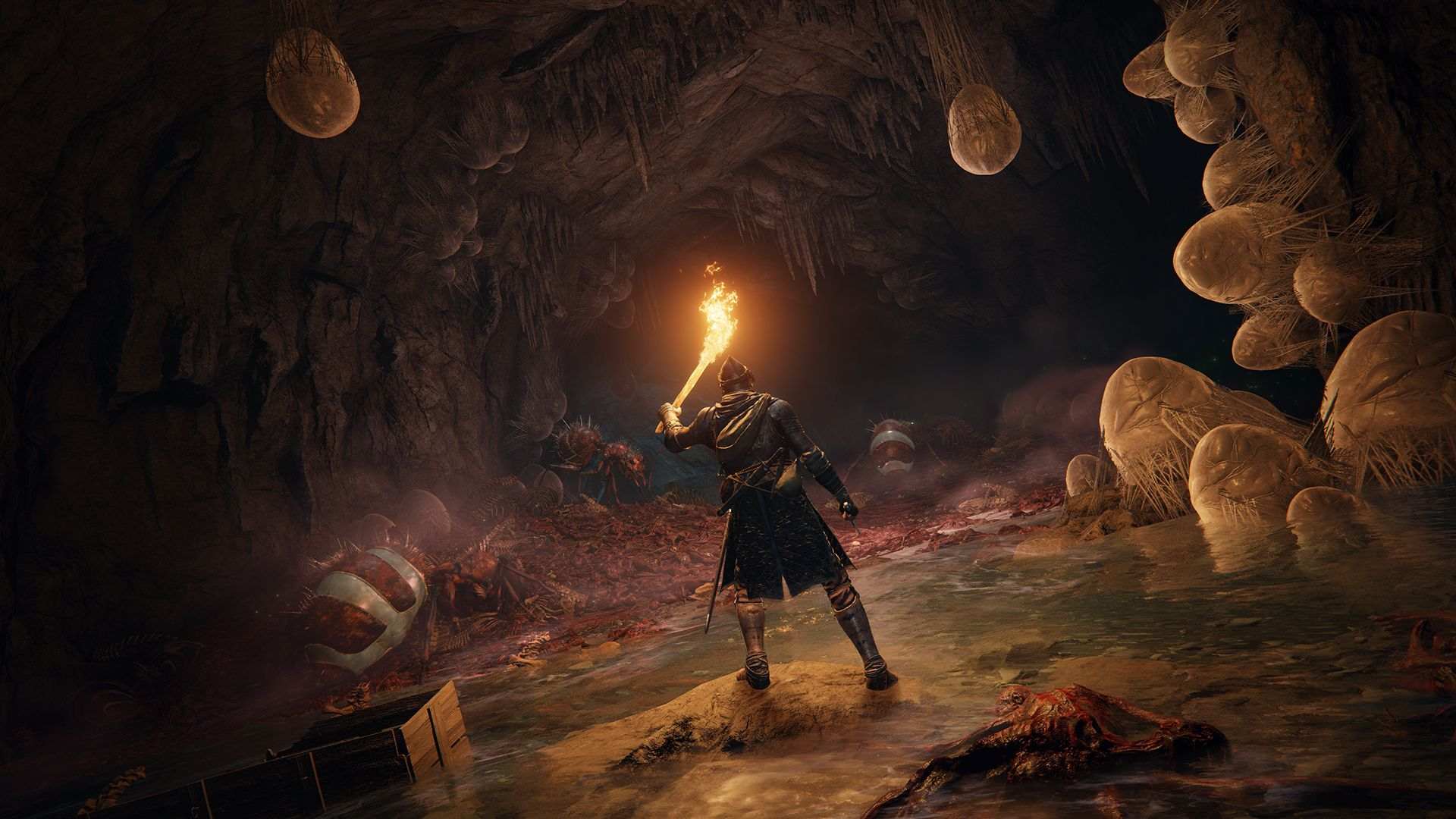 Elden Ring, update nextgen gratuito confermato GameSource