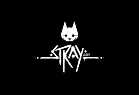 Stray, un nuovo trailer ne mostra il gameplay