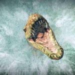 Jurassic World Evolution 2: in arrivo il Pack Cretaceo
