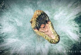 Jurassic World Evolution 2: in arrivo il Pack Cretaceo