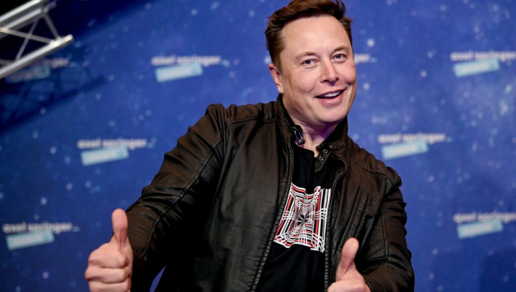 Elon Musk Twitter abbonamento