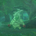 The legend Of Zelda: Tears of The Kingdom – Dove trovare Castonne