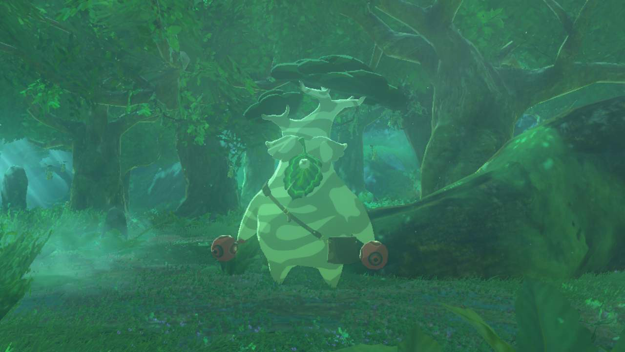 The Legend of Zelda Tears of the Kingdom Castonne