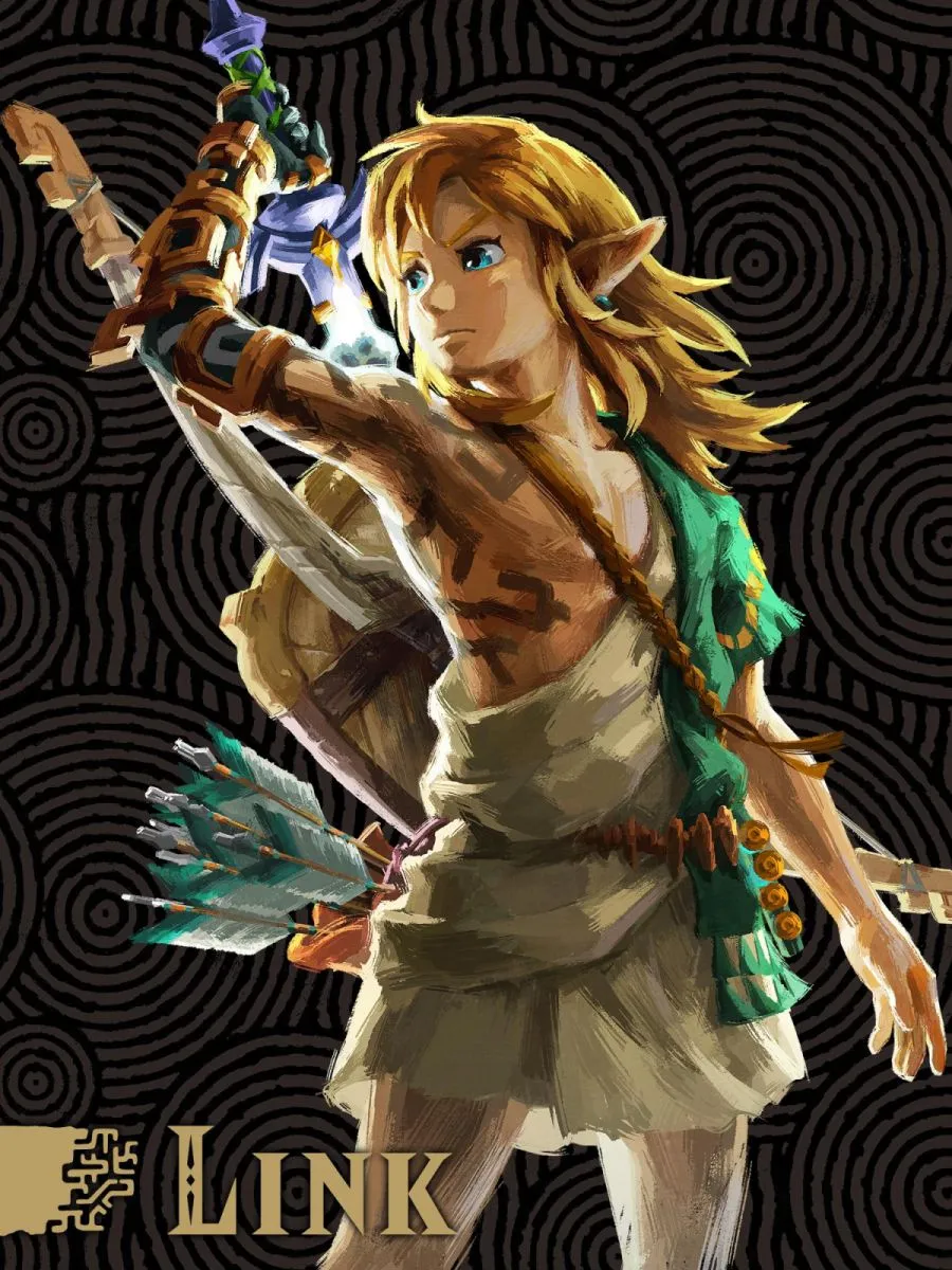 The Legend of Zelda: Tears of the Kingdom-artwork-Link